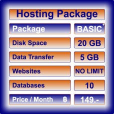 Hosting Package: BASIC+