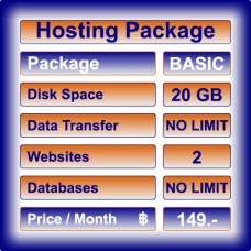 Hosting Package: BASIC