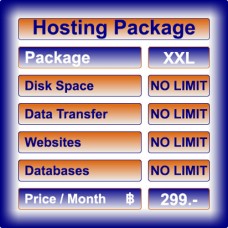 Hosting Package: XXL