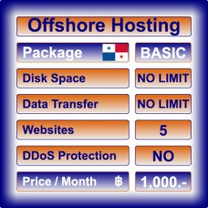 Offshore Hosting Basic Plesk (Linux)